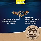 Ver la foto 4