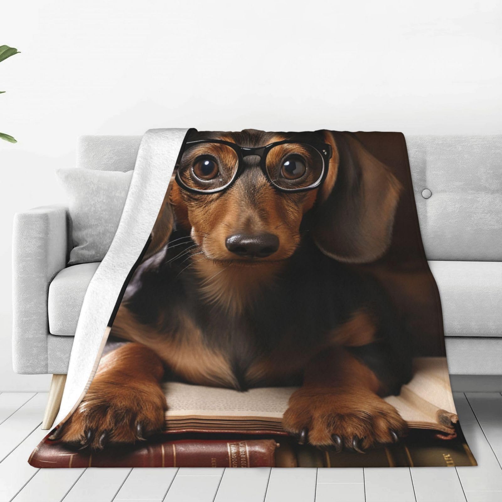 KLOPH Dachshund Book Throw Blanket 60"x50" Flannel Fluffy Warm Blanket for Couch, Reversible Plush Blankets for Bed, Comfy Fuzzy Blanket for Sofa, Plush Lightweight-Blankets for All Season