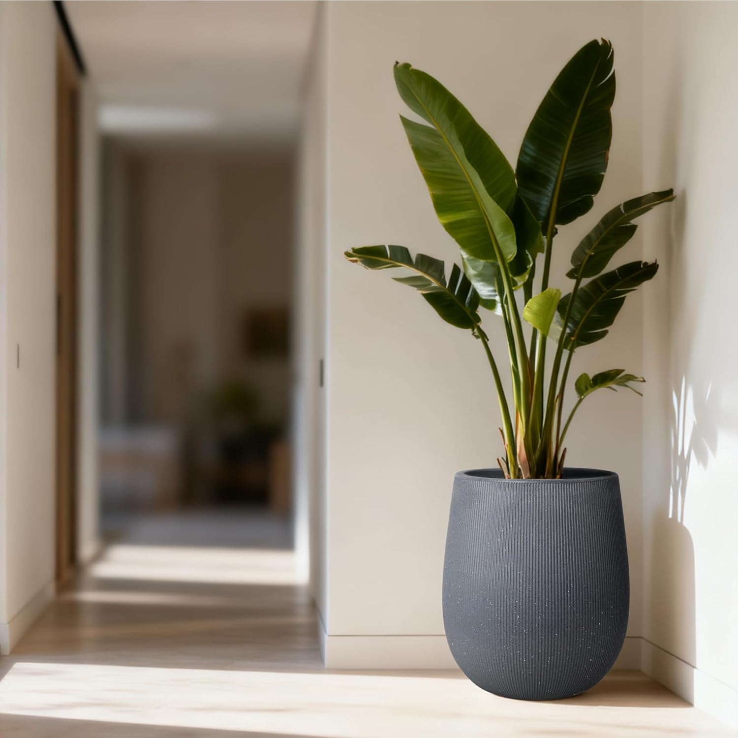 Worth Garden Large Dark Gray Round Planter, 12.5" x 18.5" Lightweight Magnesium Oxide Cement Plant Pot with a Striped Textured Finish, Raised Pattern Concrete Look, Drainage Hole, Indoor & Outdoor