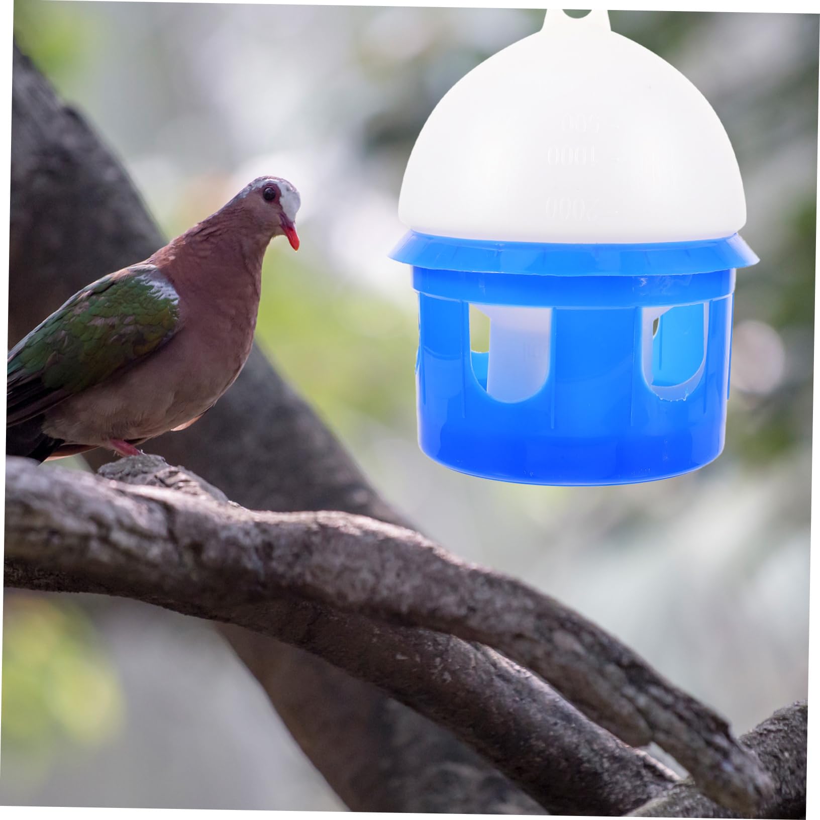 Automatische Vogeltränke für Tauben 4L aus Kunststoff Abnehmbar Robustes Design Blau für Vogelvolieren und Außenbereiche