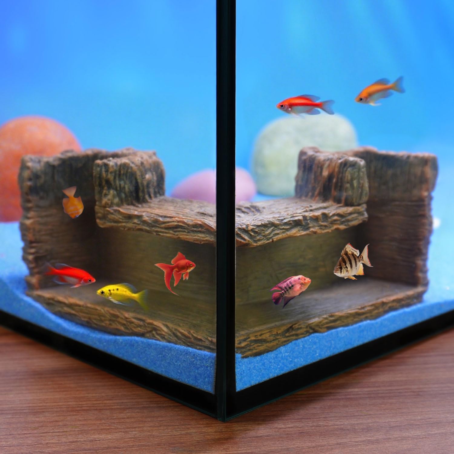 90° Corner Fish Cave Viewing Tunnels
