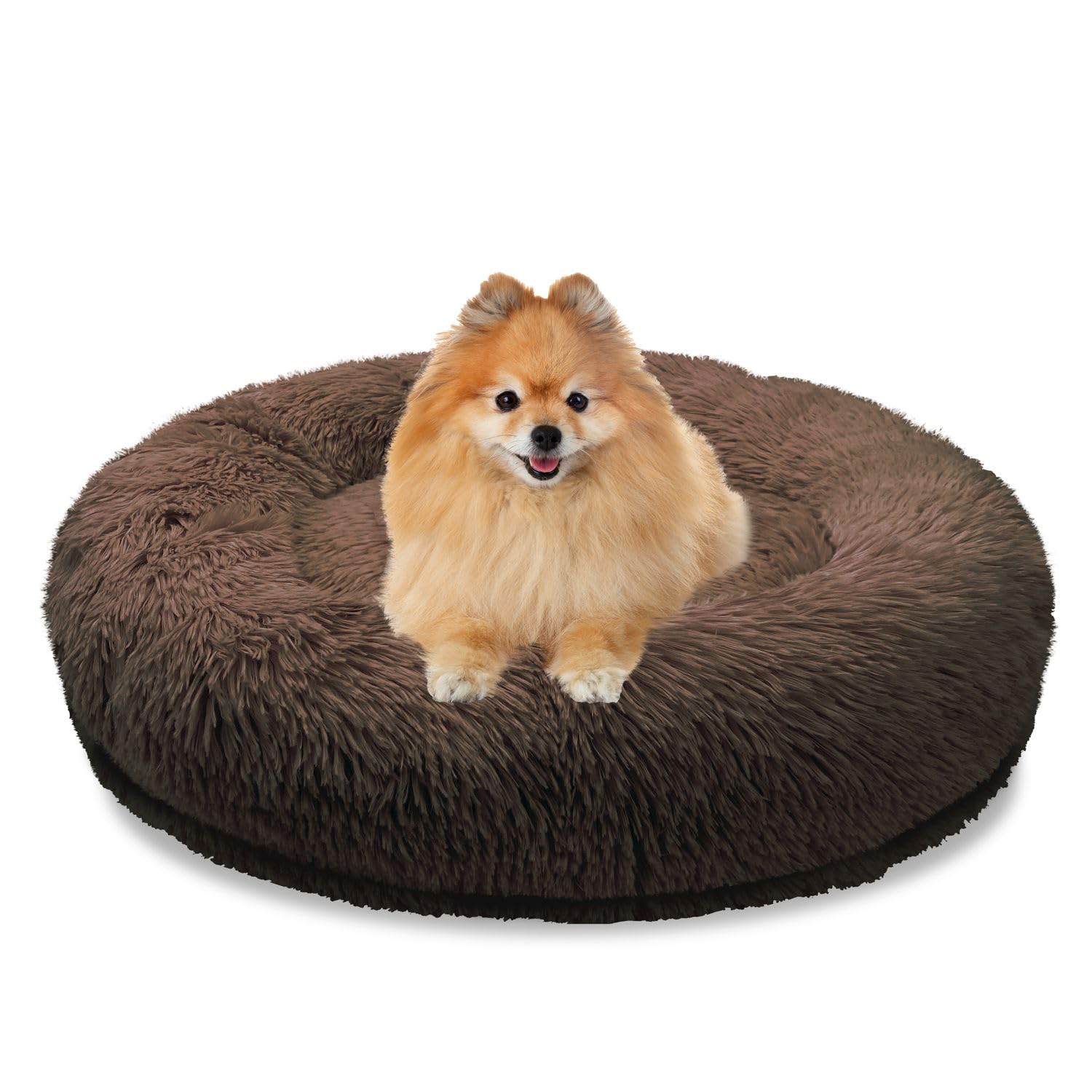 Top 10 fluffy hondenmanden volgens baasjes | BESTE fluffy hondenmanden