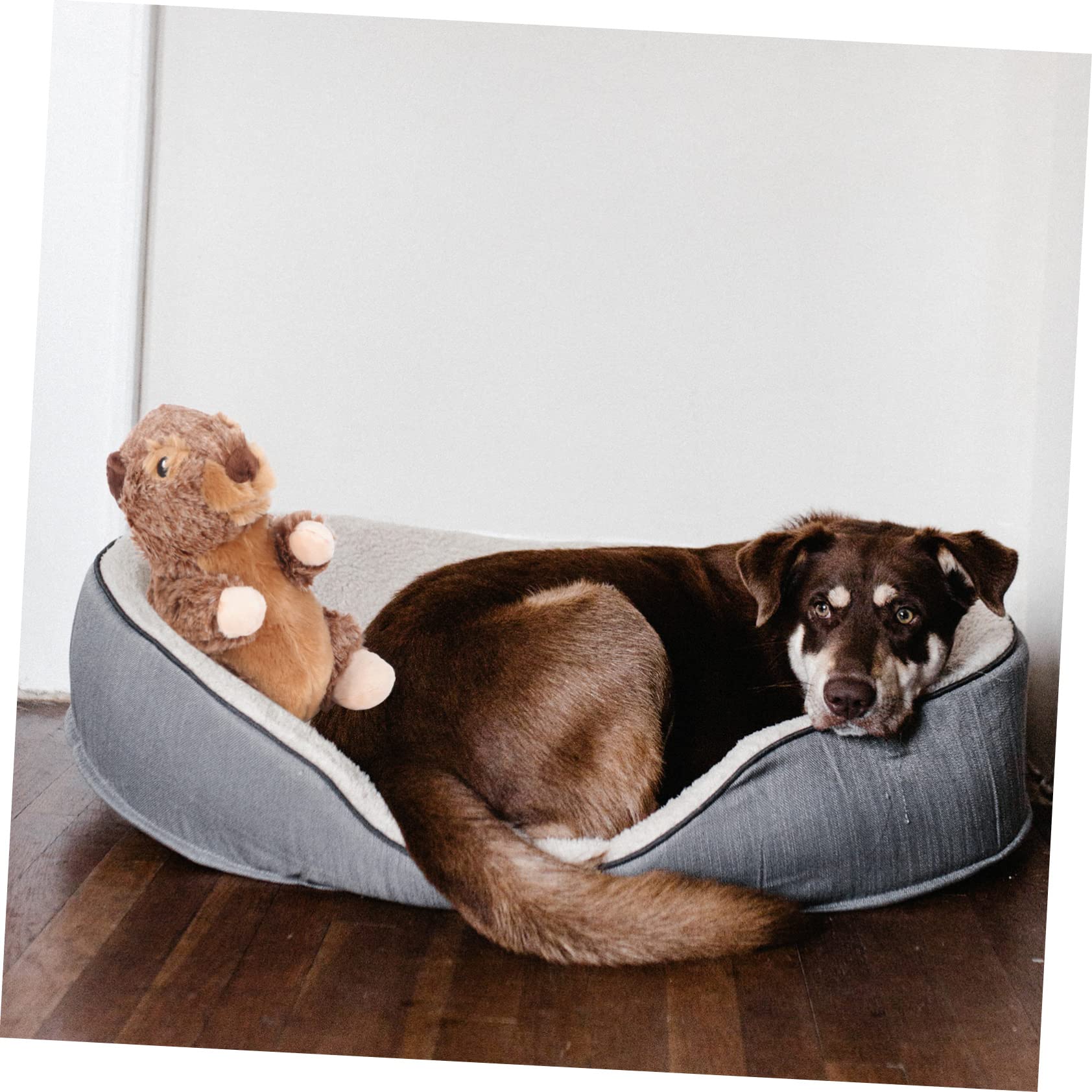 FRCOLOR 3stücke Langlebiges Plüschspielzeug Für Hunde Und Katzen Kauspielzeug Zur Zahnreinigung Mit Quietschfunktion Für Welpen Und Kleine Tiere Strapazierfähig Und Sicher Für