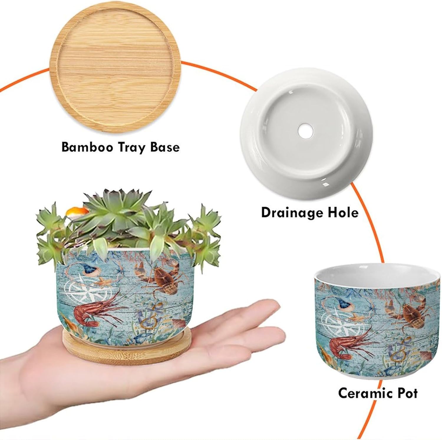 Anchor Ocean Animal Crab Jellyfish Lobster Small Ceramic Plant Pot Set of 3 Teal Blue Watercolor Underwater World Ceramic Plant Pot Beach Theme Ocean Succulents Plants Live with Pot