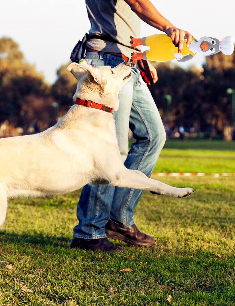 DAJOOEE Quietschendes Gummi-Huhn-Hundespielzeug, langlebiges Huhn-Hundespielzeug, weiches Gummi, Kauspielzeug für kleine und mittelgroße Hunde, 5 Stück