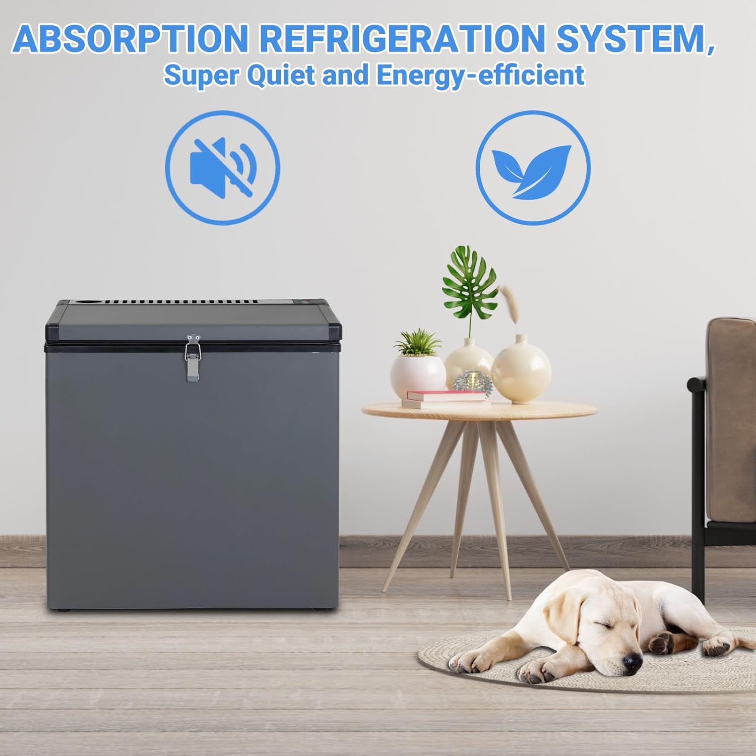 2.4 Cu.Ft Propane Freezer 3 Way Chest Freezer 110V/12V/LPG Gas Freezer, with Removable Basket Lock for Off Grid,Garage, RV,Food Truck Use