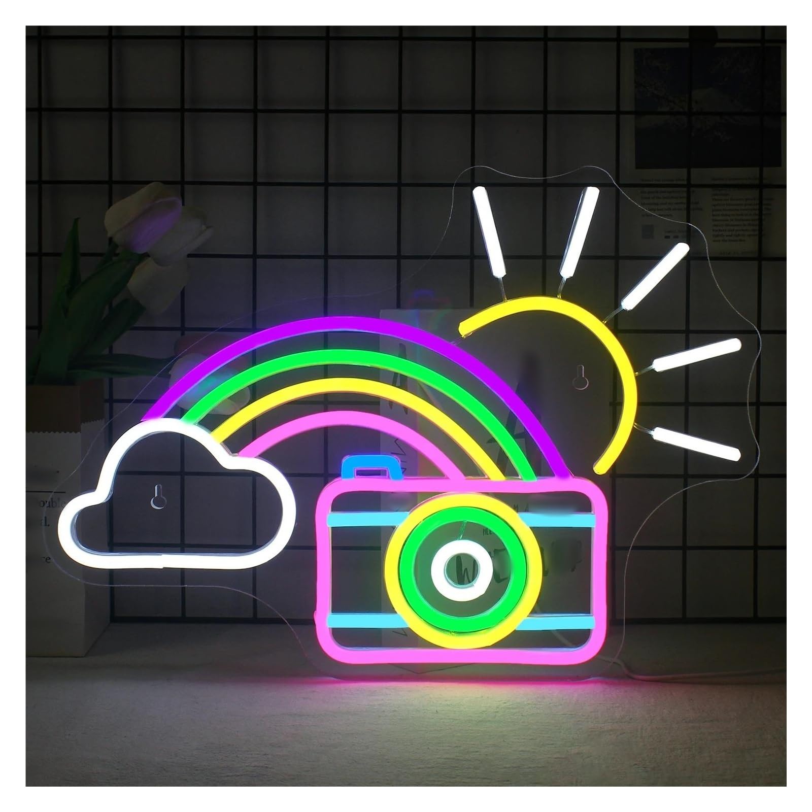 LEMST Signs Lamp Sunshine Rainbow Camera Neon Sign Lights Room Decoration Bar Party Photo Studio Dimmable Lamp Wall Decor 42cmх30cm
