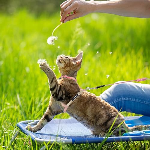 Miniatura 5 de TIESOME Juego de arnés y correa para gato, arnés ajustable degradado para gatito, arnés a prueba de escapes con correa para caminar al aire libre