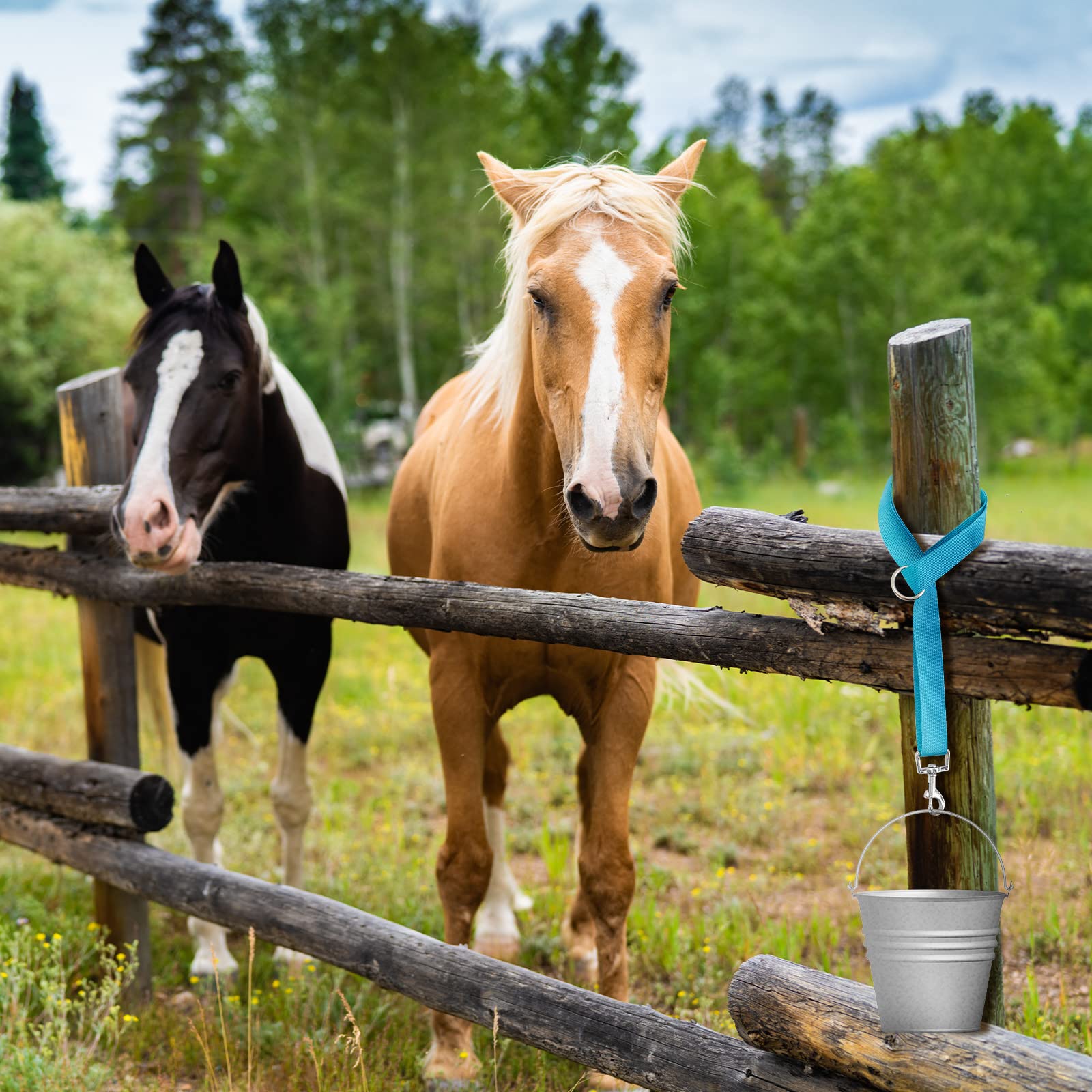 10 correas de cubo de caballo para caballos, correa ajustable de nailon para remolque, correa colgante para cubo de agua, redes de heno, cubos de agua, comederos al aire libre