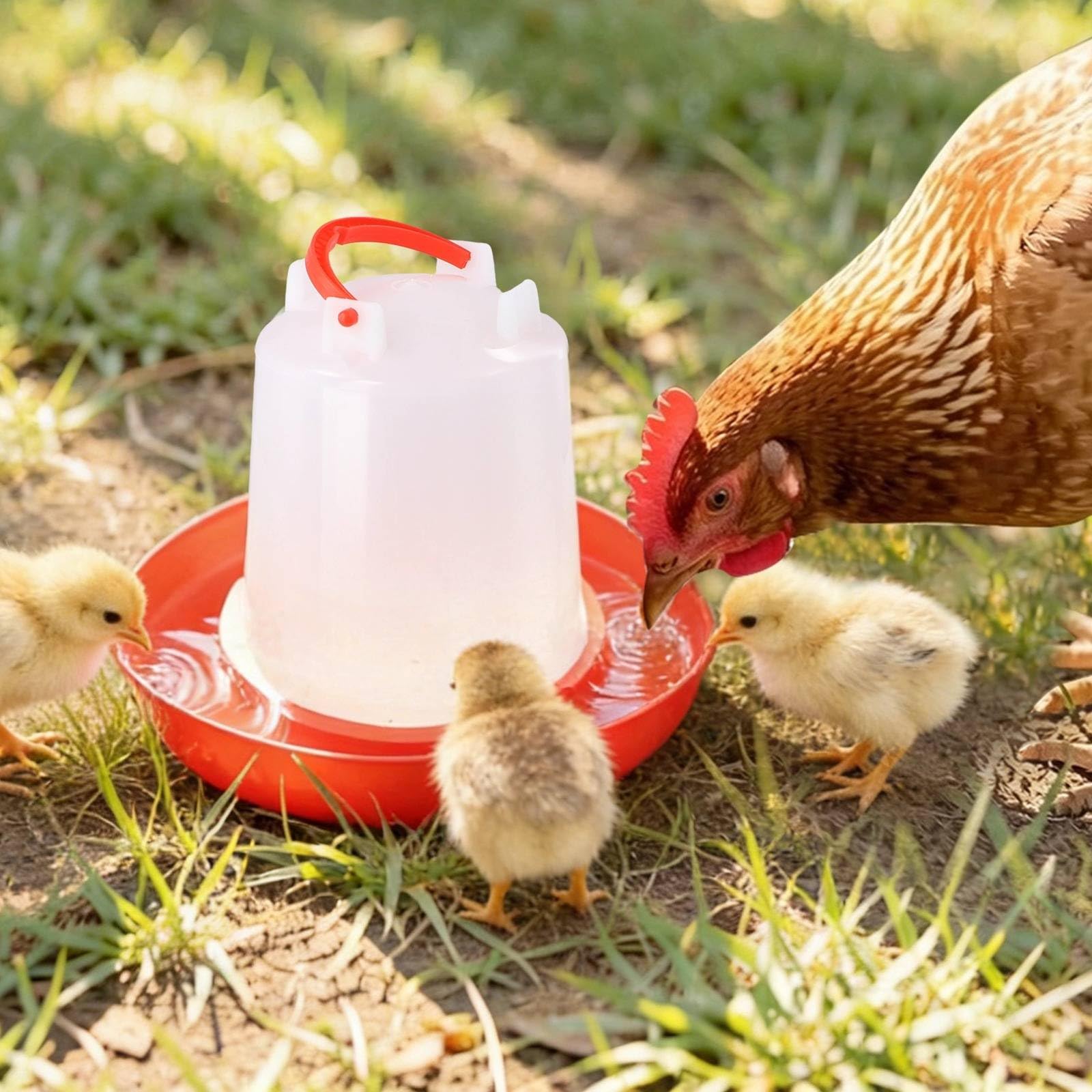 Rutin+ 4-Pack Chick Waterer - 1L Poultry Drinker For Chickens, Ducks & Turkeys