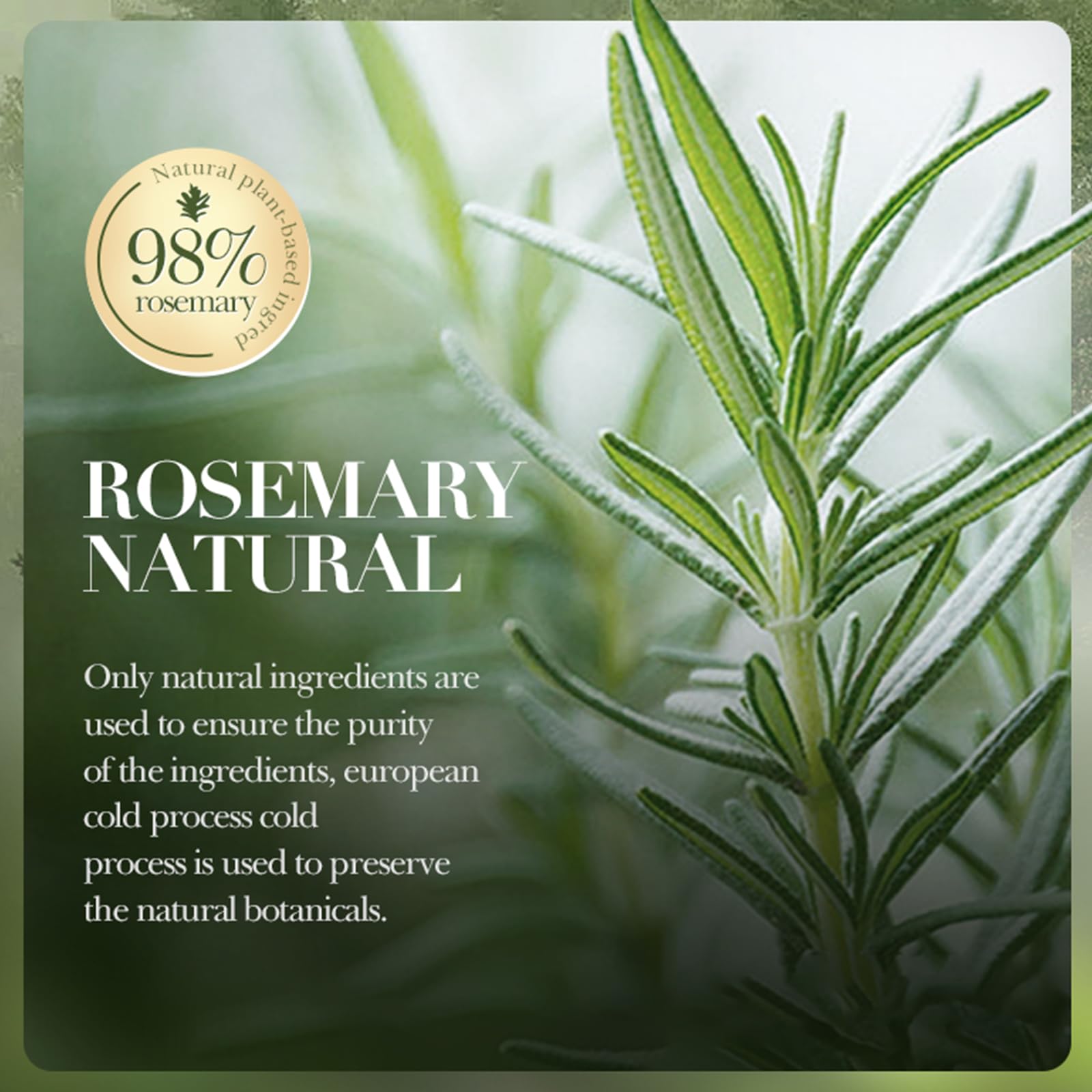 Rosmarin Anti-Schuppen Shampoo 500ml, Lindert Juckreiz, kontrolliert Öl Reparierendes, Spendet Volumen und Geschmeidigkeit, Beruhigende Kopfhautpflege für Damen & Herren