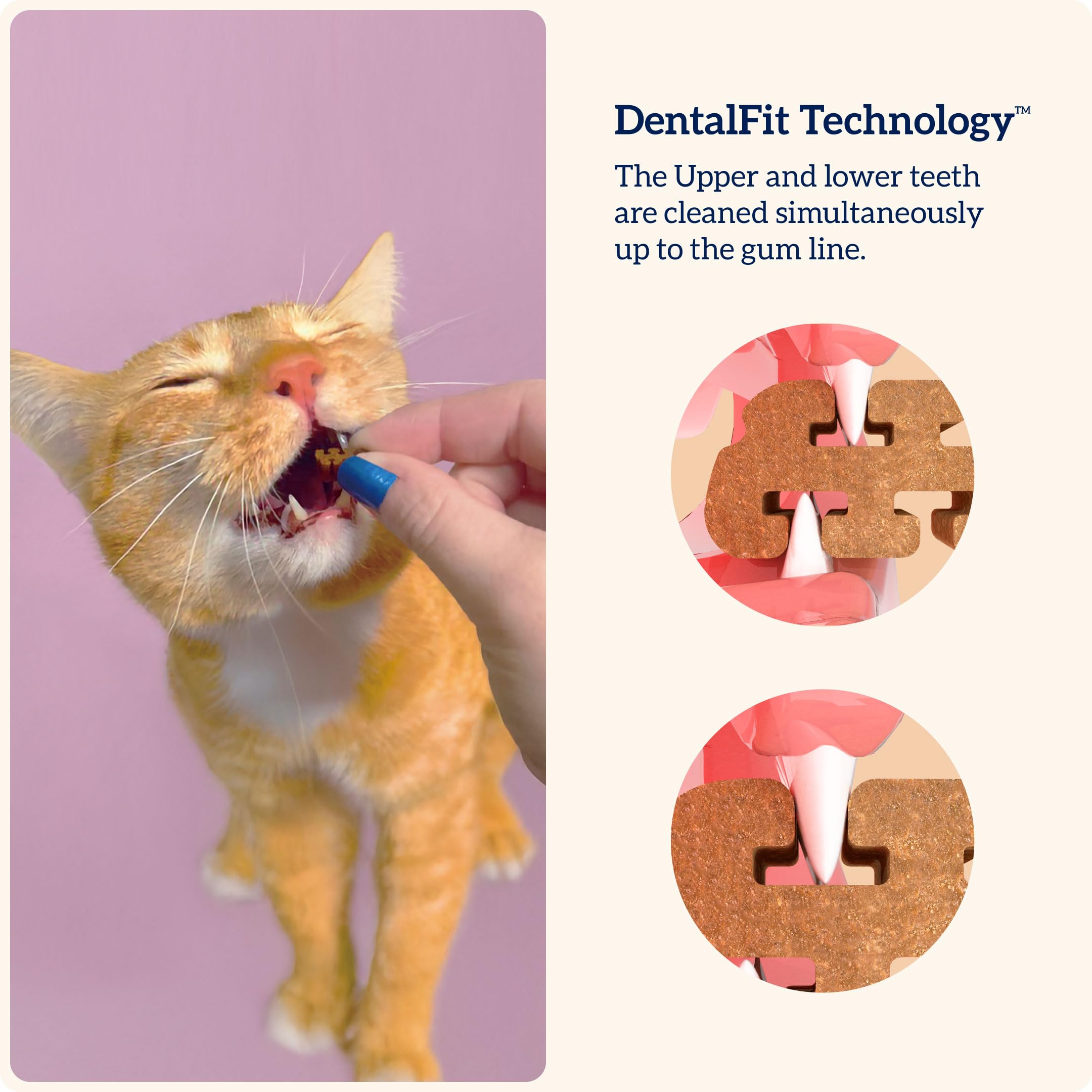 Groovies Cat Daily Dental Treats. Tasty, Crunchy Bites Cats Love. Salmon Flavor. Powered by USA-Patented DentalFit Technology. No Added Gluten, No Artificial Flavors or Colors. 1.76oz (115 Treats) - image 3