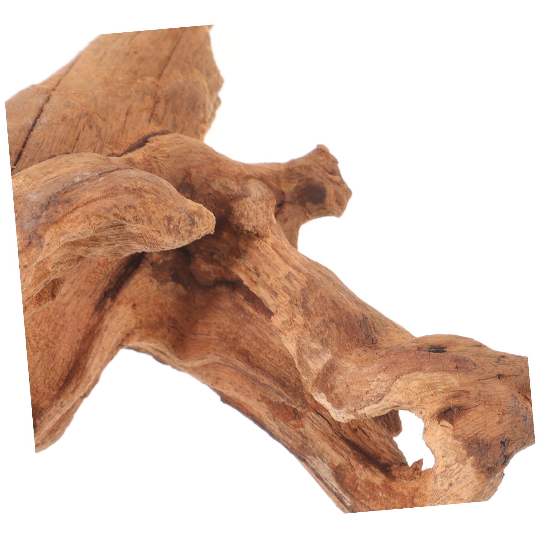 GRIRIW Fish Tank Decor Natural Random Shape Driftwood for Aquarium Decoration Enhances Fish Habitat with Unique Textures for Aquatic Landscapes and Home