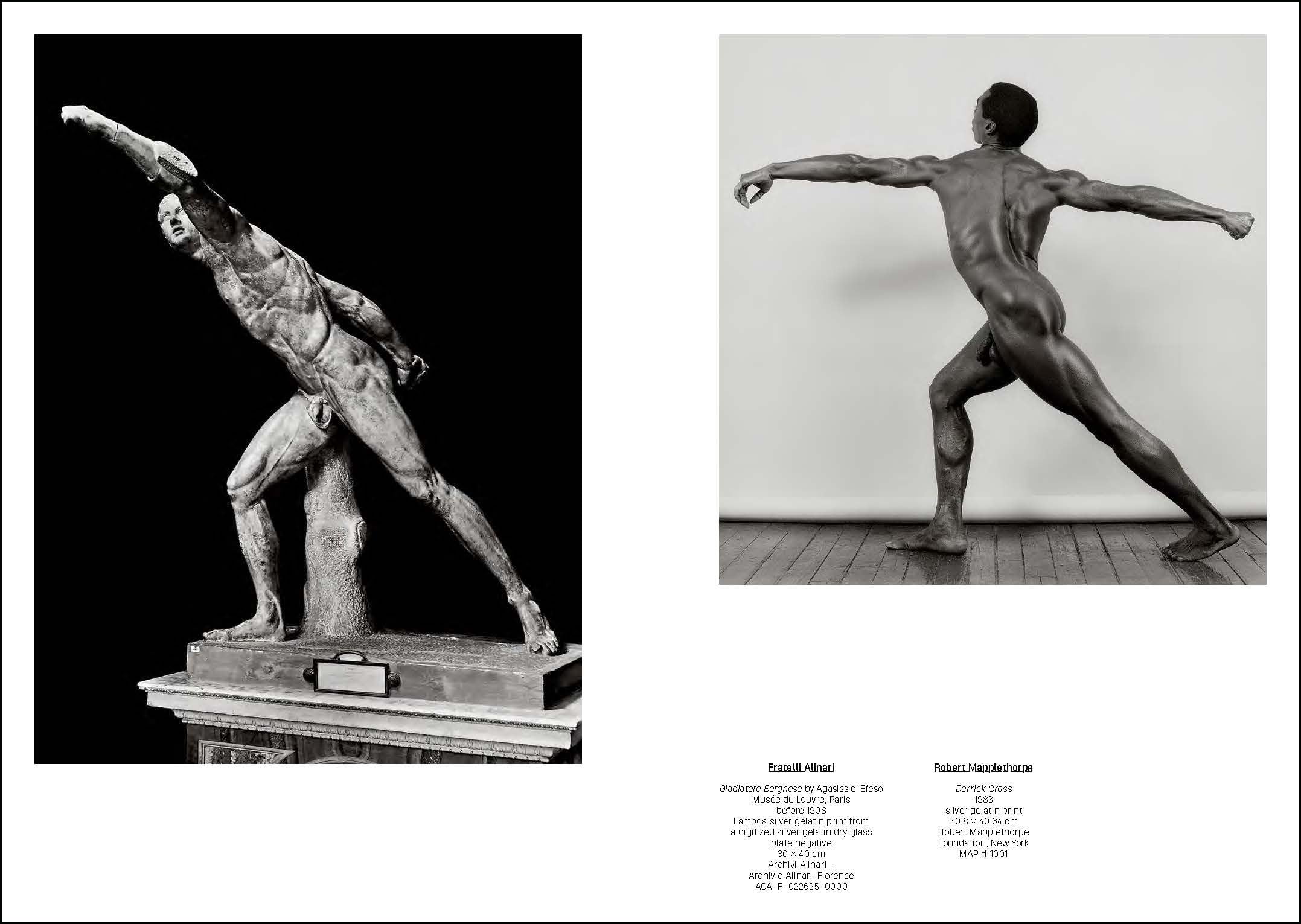 Mapplethorpe/Von Gloeden: Beauty and Desire