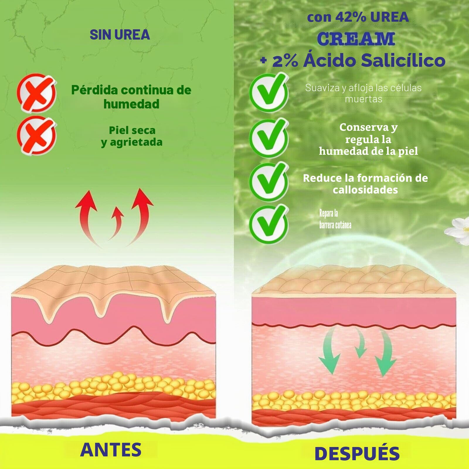 Crema 42% Urea | 2% Ácido Salicílico | 3x 150g Crema para Pies y Eliminador de Callos | Aloe Vera y Aceite del Árbol del Té para hidratar y suavizar la piel en profundidad
