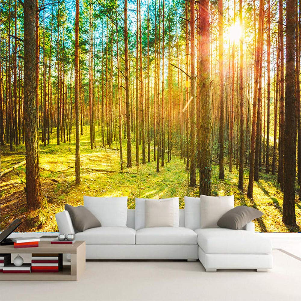 Papier peint forêt soleil 3D pour agrandir un salon sombre ou petit