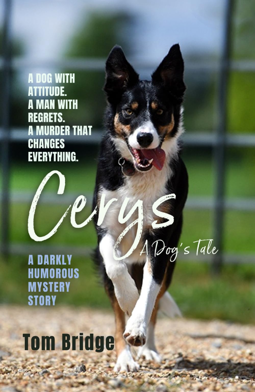 Cerys, A Dog’s Tale: A darkly humorous mystery story