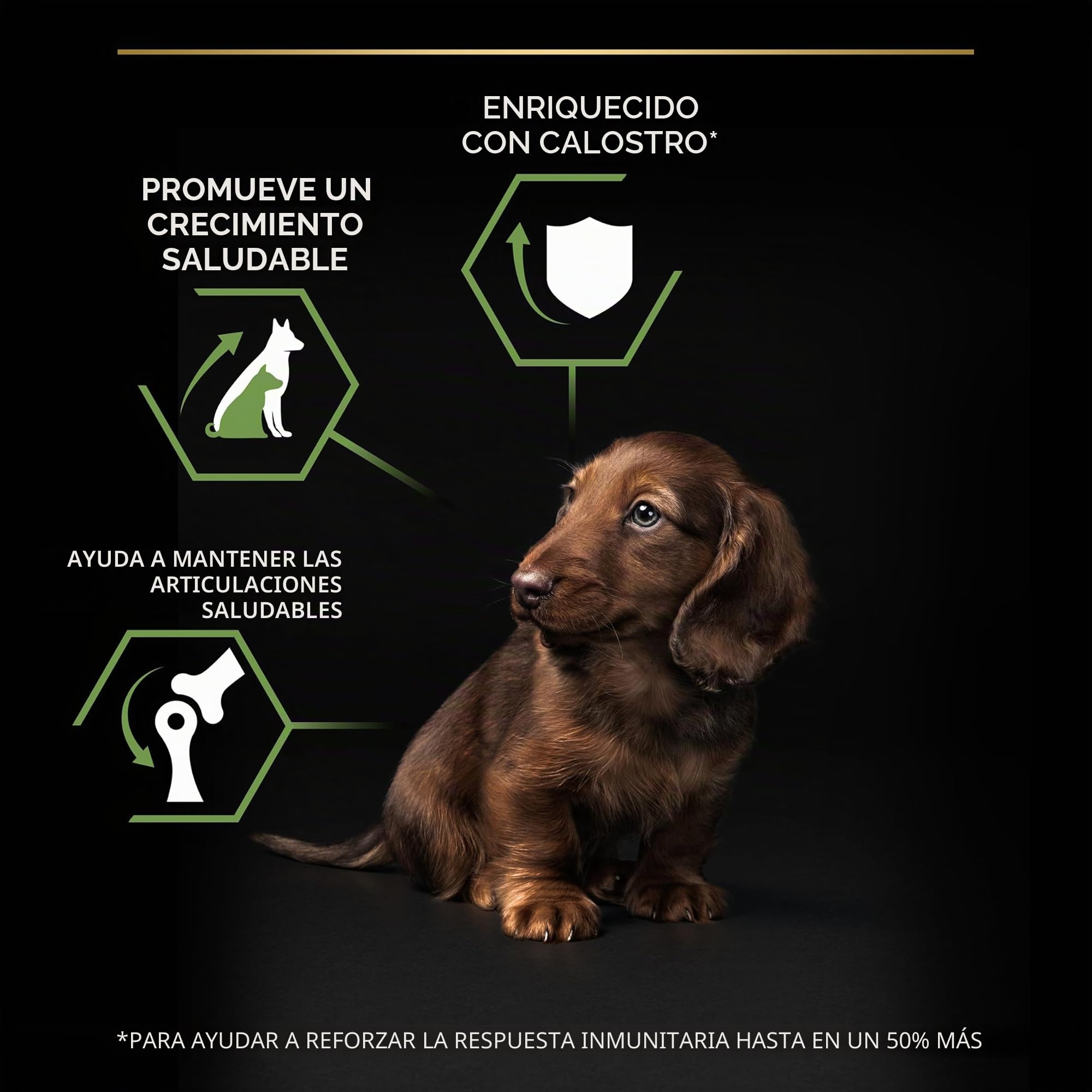 Pro Plan Purina Small & Mini Puppy OPTI Start Chicken Comida para Perros - 7000 gr