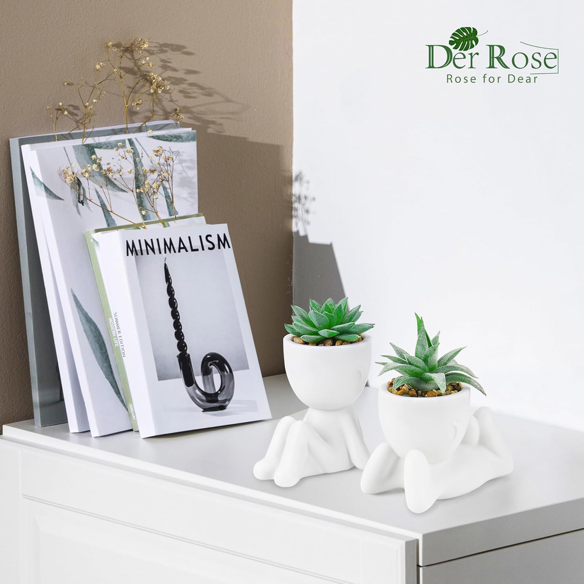 Der Rose 2 Pack Fake Plants Succulents Plants Artificial for Living Room Home Bathroom Office Decor