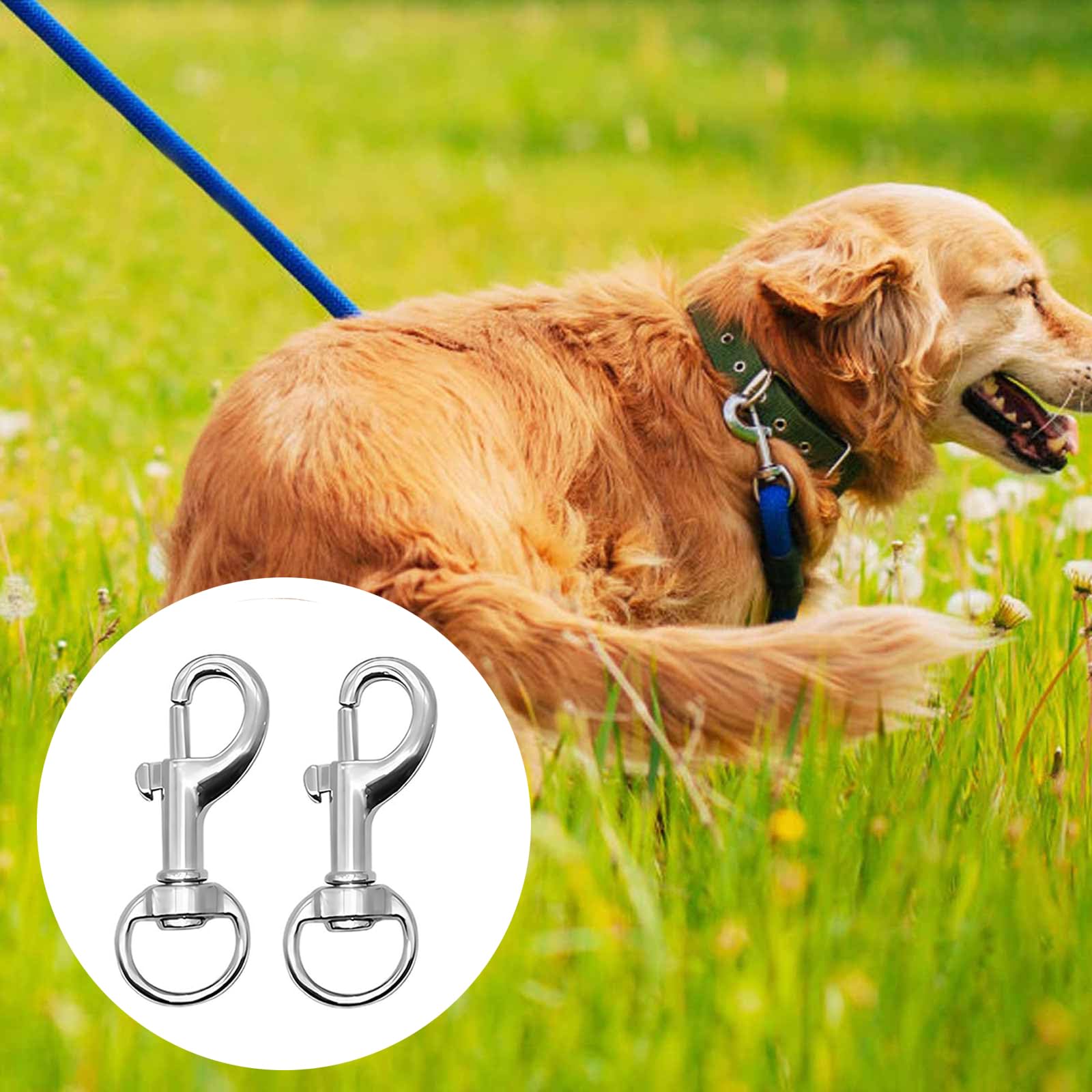 Trigger Clips Clasp,12 PCS Keyring Clip Dog Lead Dlips Swivel Snap Hook 360° Rotating Dog Lead Clips Secure Carabiner Clasps for Keyrings Leash Collars DIY Crafts and Outdoor Gear - Image 2
