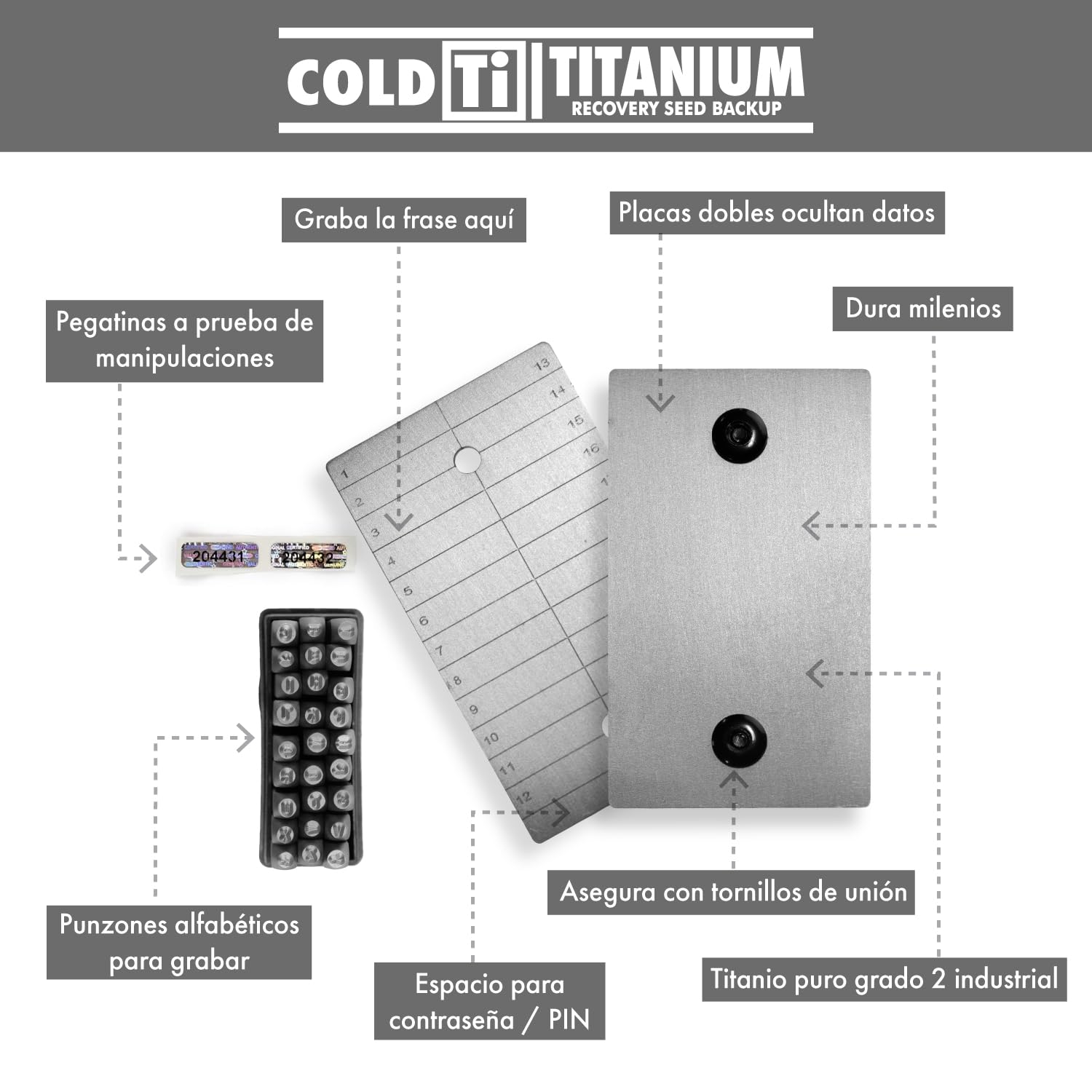 ColdTi - Placas de Titanio para Frase Semilla Bitcoin (2 Placas, Punzones y Sellos) - Almacenamiento Seguro Billetera Fría Criptomonedas - Seed Phrase Metal Premium