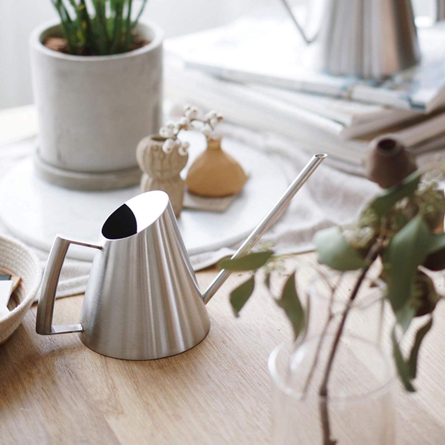 Tissting 1500ml Stainless Steel Watering Can, Brushed Metal Bonsai Watering Can Indoor Plants, Long Spout Water Can Small Watering Can for Indoor Plants, Flowers, Succulents