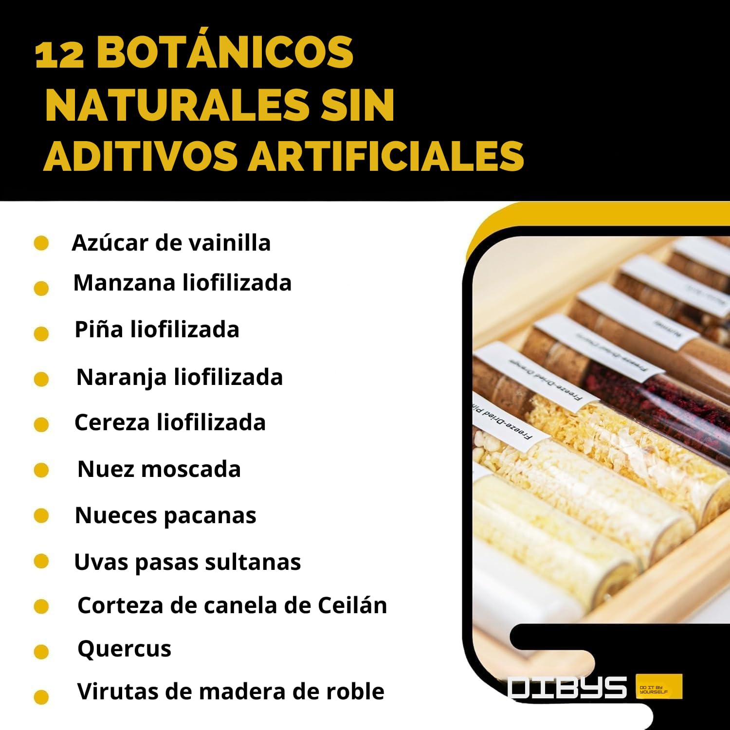 DIBYS Mini Ron Kit de Especias | 12 Botánicos para Infusión y Preparación de Cócteles | con 4 Recetas, Léxico y Elegante Caja | Set de Regalo para Hombres y Mujeres | Juego Hacer Ron en Casa