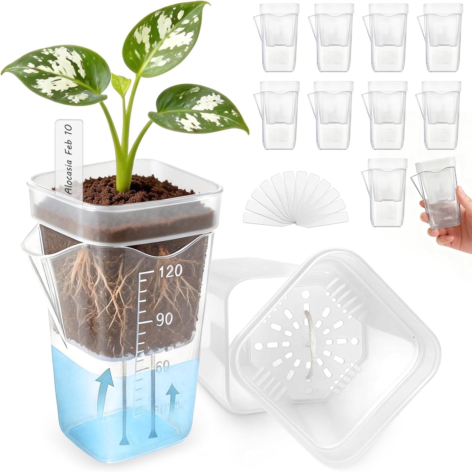 10 Pack 2" Mini Self Watering Pots for Indoor Plants, Clear Small Plastic Planter with Labels,Water Level for African Violet,Mini Self Watering Pot for Semi-Hydro,Propagation,Succulent,Seeding,Cutting