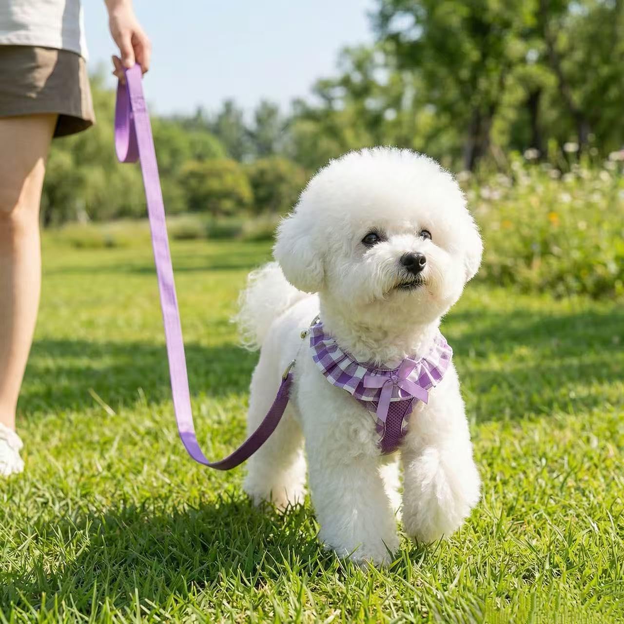 SuperBuddy Arnés de Malla Suave Mejorado, arnés Ligero súper Transpirable para Mascotas para Cachorros y Perros Que Caminan al Aire Libre, arnés Morado para Perro y Correa para Perro, Paquete Mediano
