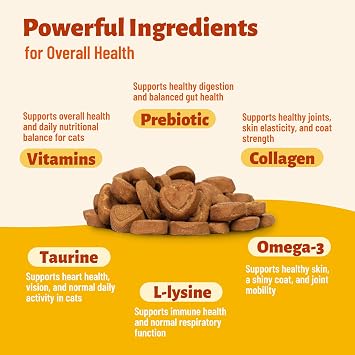 19.4oz 24-in-1 Cat Vitamins with Taurine for Indoor Cats