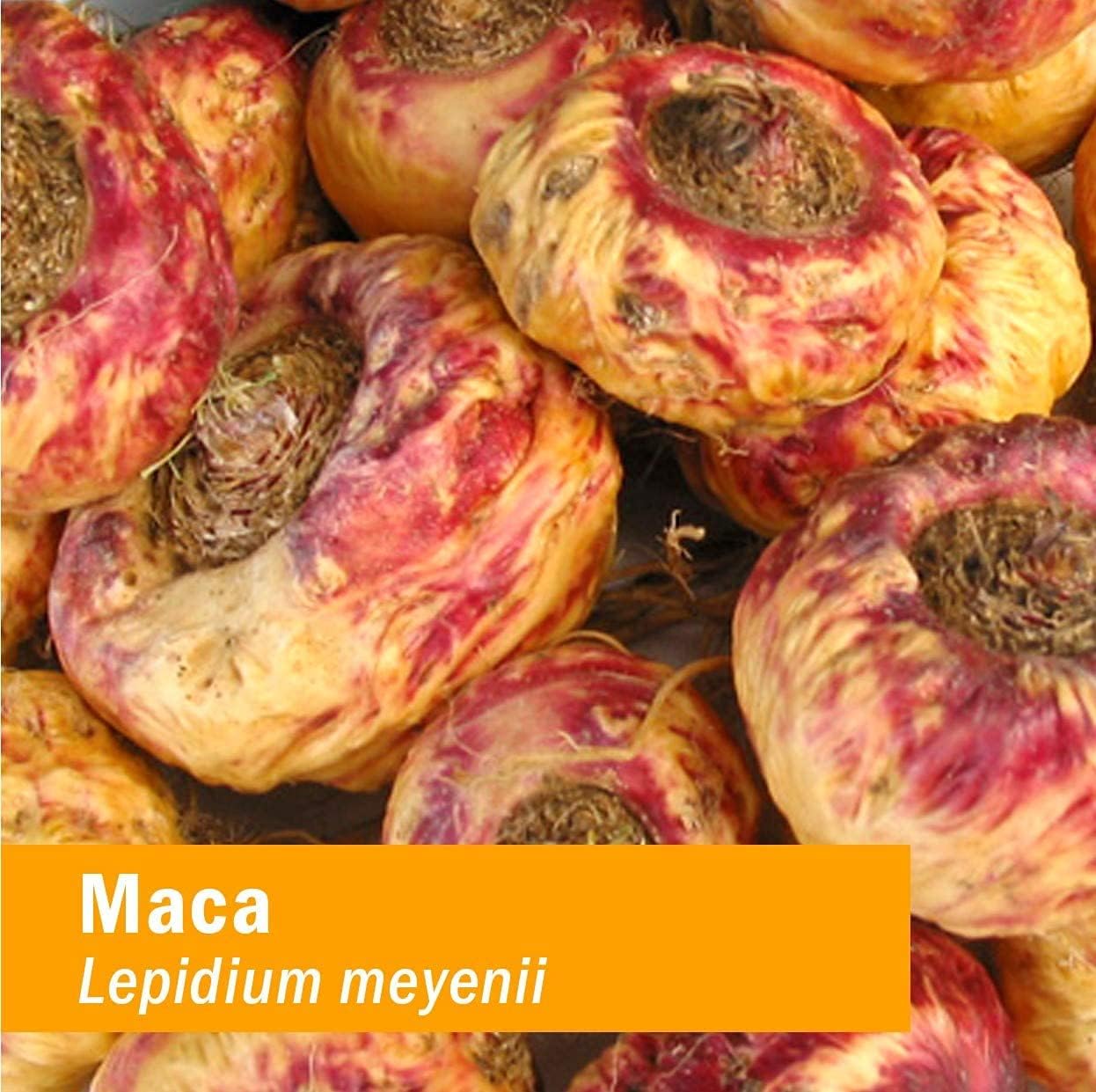 Herb Pharm Certified Organic Maca - 1 Ounce (090700003463)