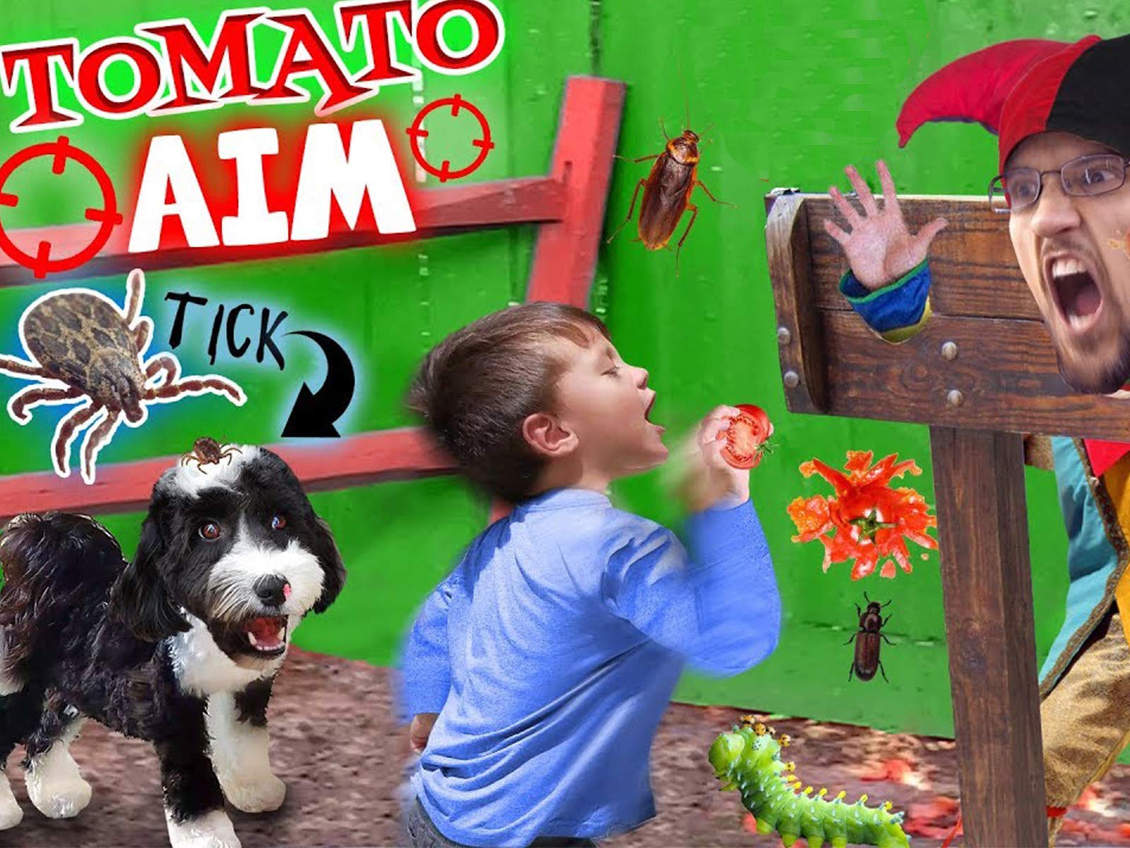 Watch FUNnel Vision Vlogs Prime Video