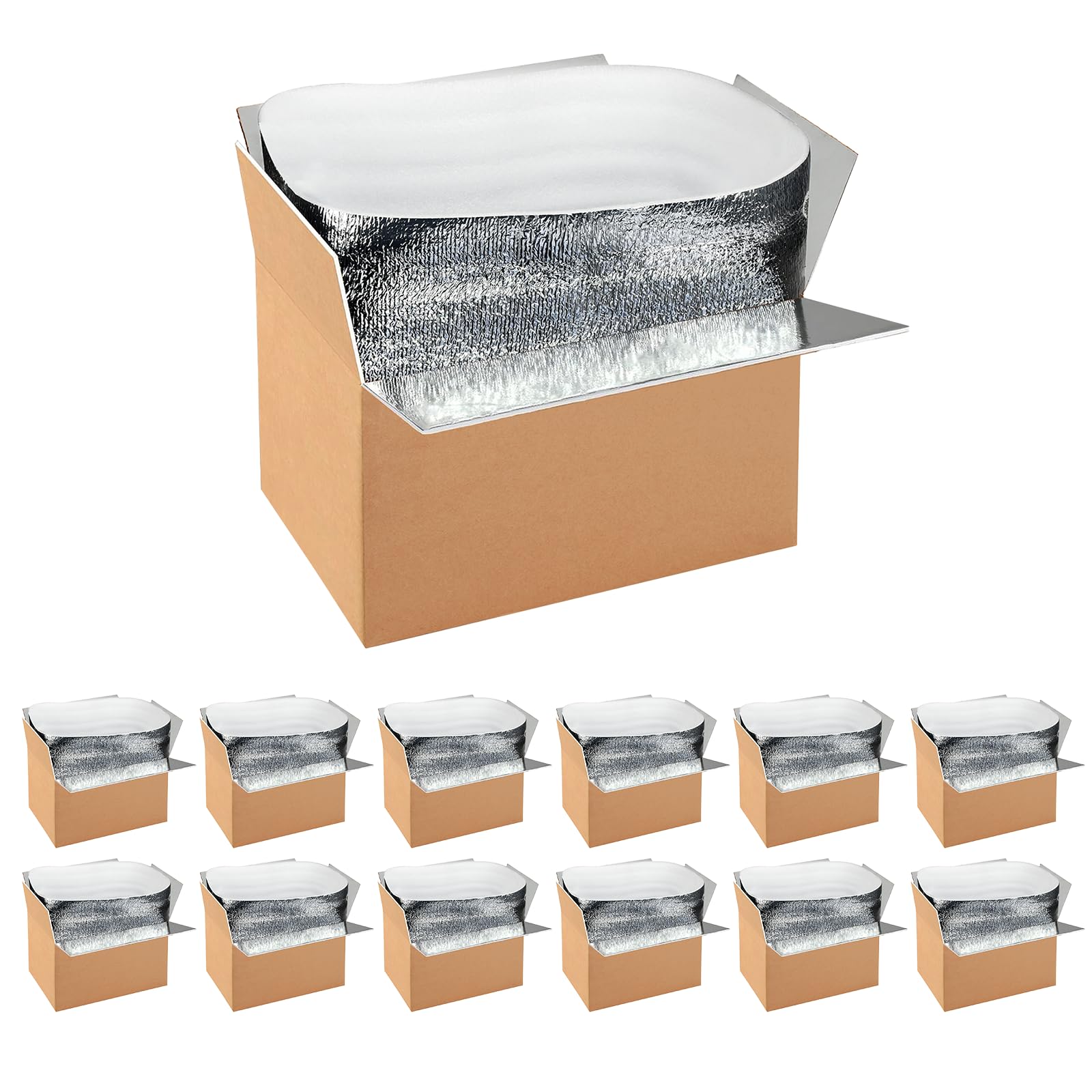 12 Pack Insulated Shipping Boxes with Aluminum Foil Liner,Thermal Insulation Cold Pack Shipping Boxes for Frozen, Reusable Styrofoam Cooler Box, Small