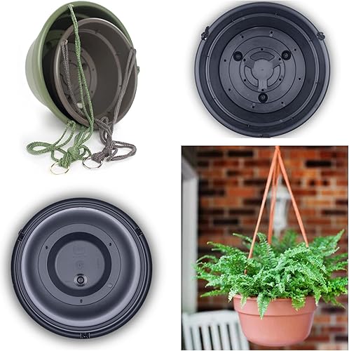 Miniatura 4 de Bloem DCHB12-46 Terra Dura Cotta - Cesta colgante 120in