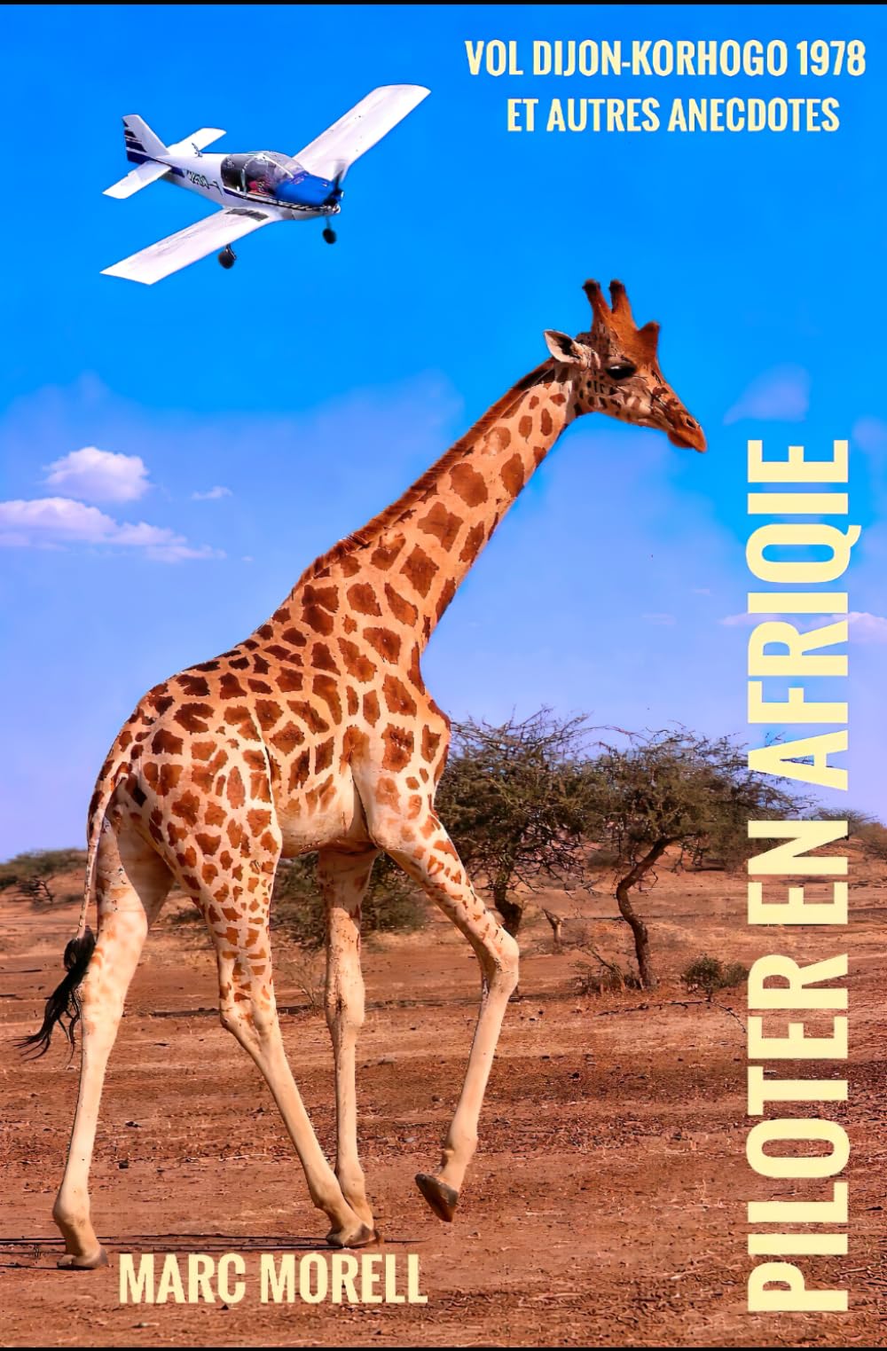 Piloter en Afrique: Vol Dijon-Korhogo 1978 et autres anecdotes (Emotions d'Outre-Mer)