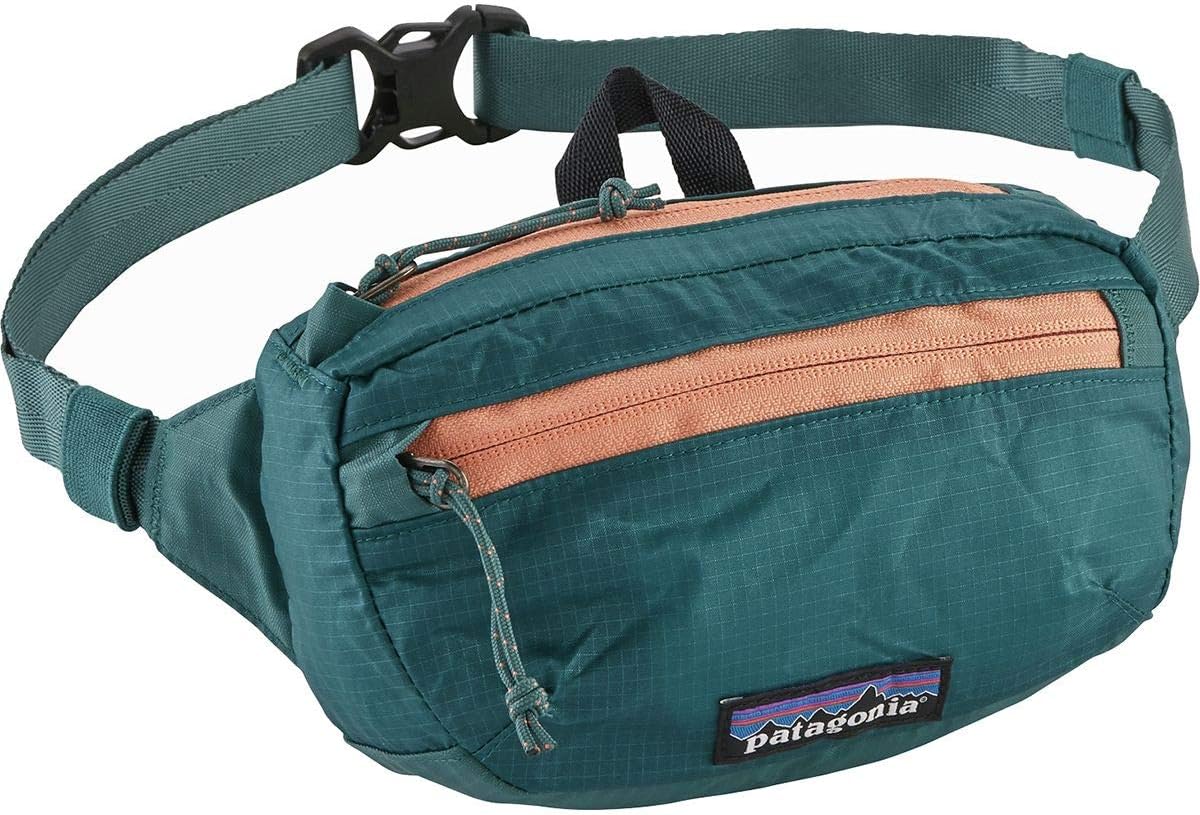 amazon patagonia fanny pack