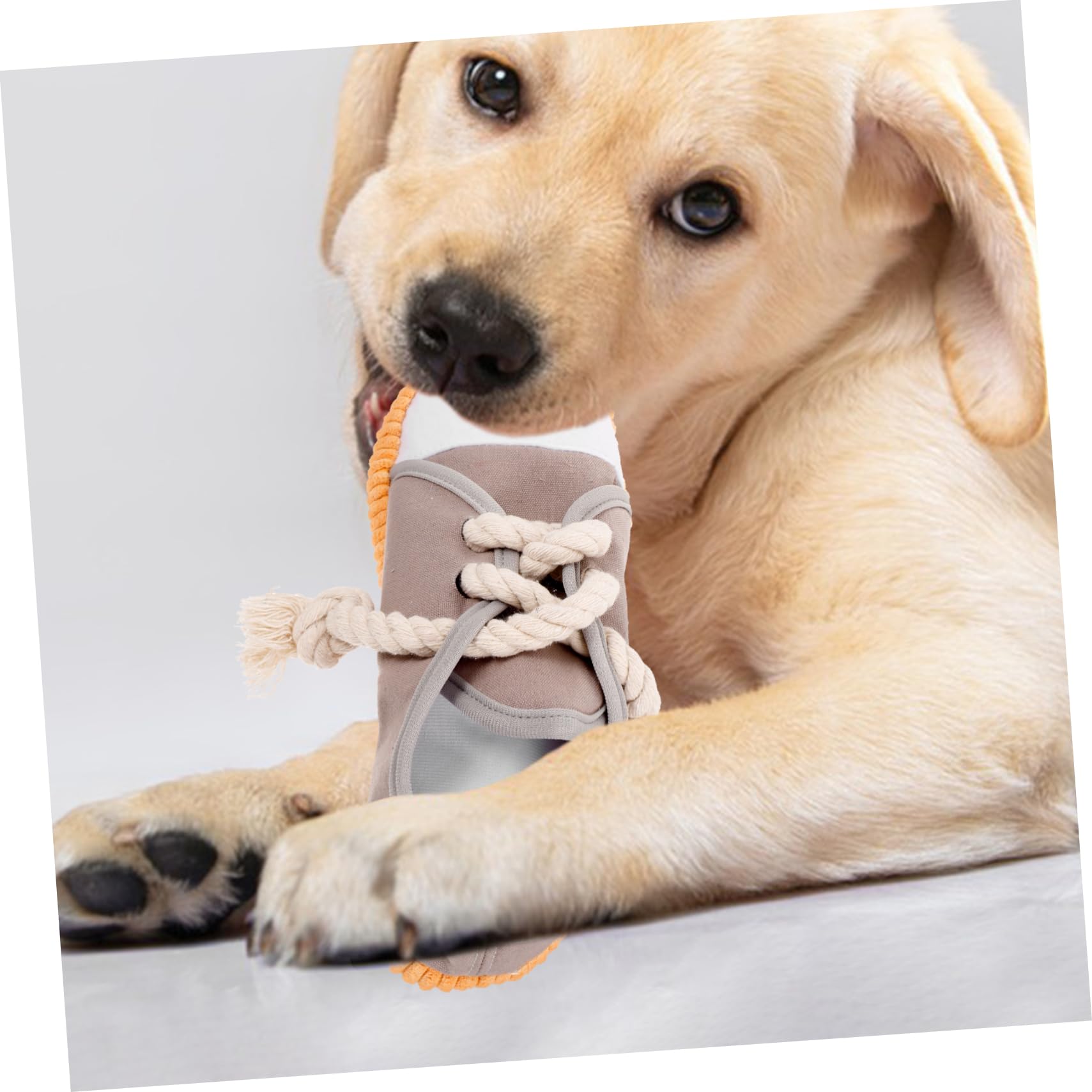 SUPVOX 4pièces Jouet à Mâcher pour Chien Forme De Baskets Jouet Squeaky pour Nettoyage des Dents Et Éveil des Chiens Agressifs Et Toile Dentition