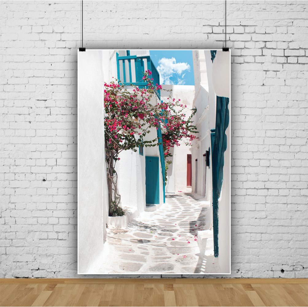 YongFoto 2,5x3m Vinile Sfondo Fotografico Vicolo greco tradizionale sullisola di Mykonos Grecia Fondale Foto Festa Bambini Boby Nozze Partito Studio Fotografico Puntelli