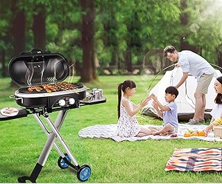 review Premium Barbecue Tools Folding Portable Liquefied Gas Grill Outdoor Tailgating Camping Portable Travel Sport Roadtrip Propane Grill Courtyard (black)