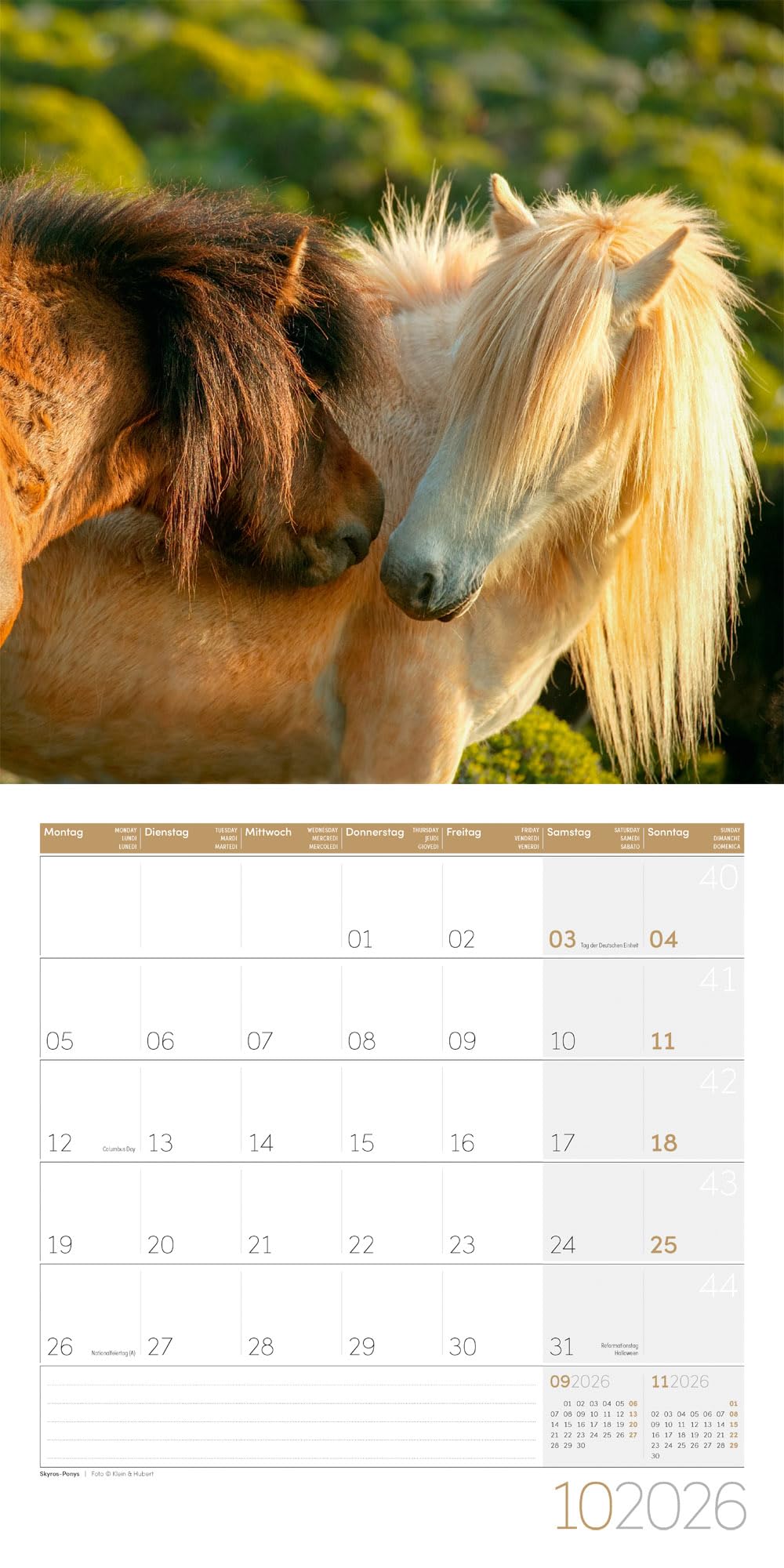 Pferde Broschürenkalender 2026 - 30x30 - Art12: Bildstarker Tier-Kalender im schlanken Hochformat (aufgeklappt 30x60 cm) | mit Eintrage-Kalendarium