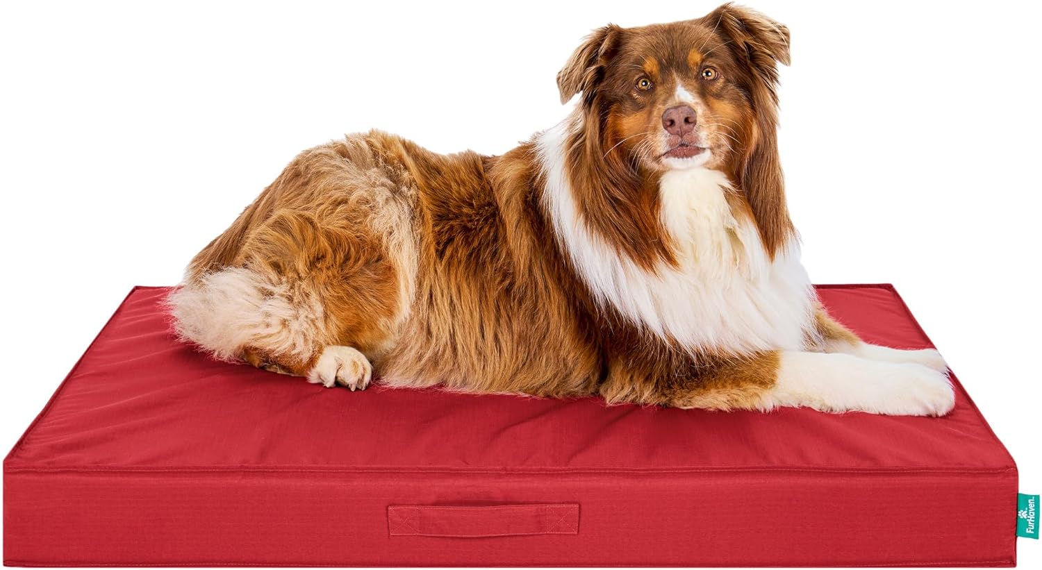 Cama Ortopédica para Perro Jumbo Colchoneta Lavable