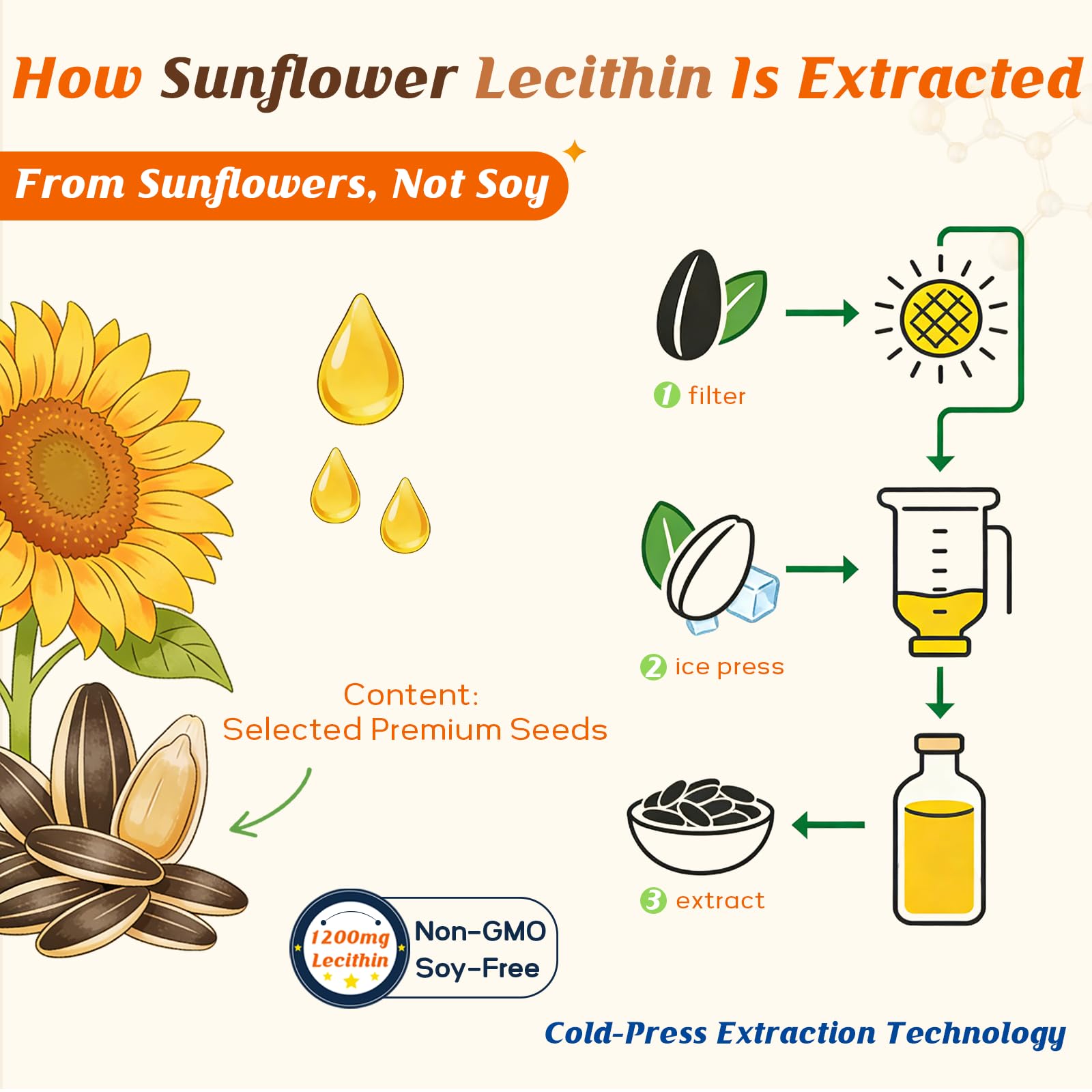 ABYSSUS Sunflower Lecithin Gummies 1200mg with PhosphatidylCholine, 60Chews — Amazon image 3