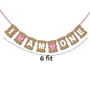 Balloonistics Cardstock I Am One String Banner for Birthday Decoration, 8Ft (Multi) gallery image