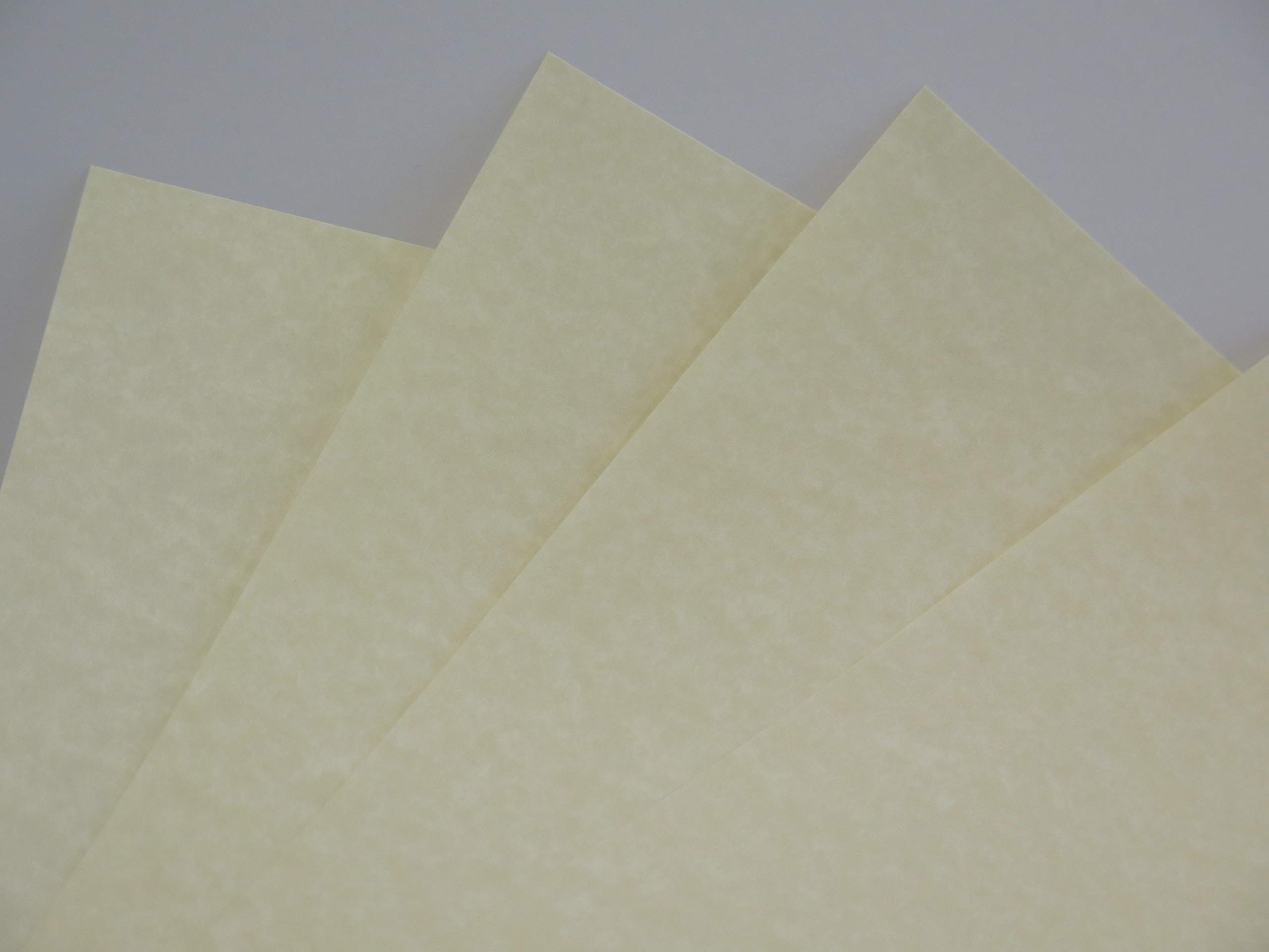 Jackdaw Express Cream Parchment Paper X 20 A3 90Gsm Cl002