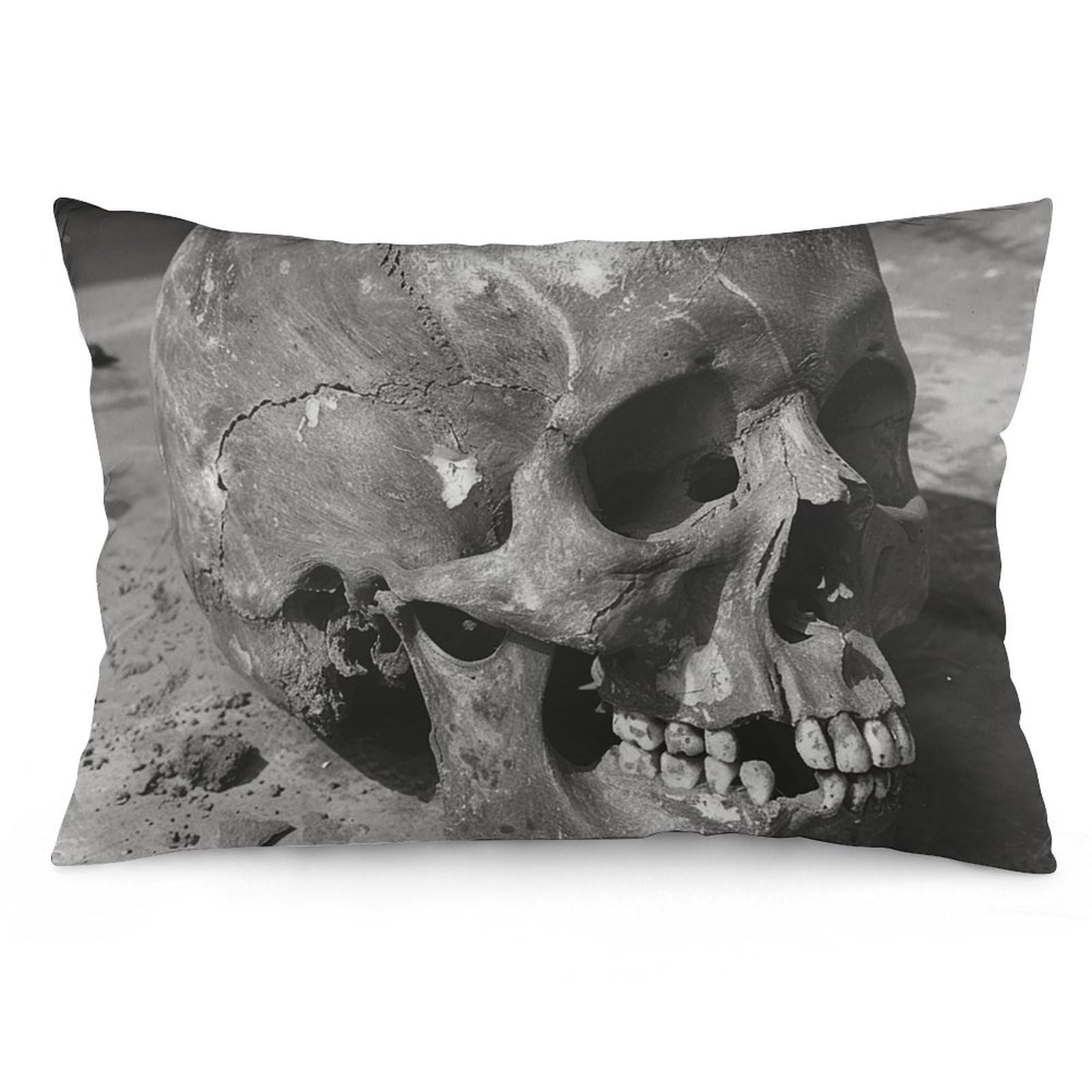 NTVOWPZO 2 Pack Decoration Throw Pillow Covers 20"x30" Pillowcases Covers Ancient Human Skull Pillowcases Modern Farmhouse Home Decor Sofa Cushions Covers for Couch Bed Living Room
