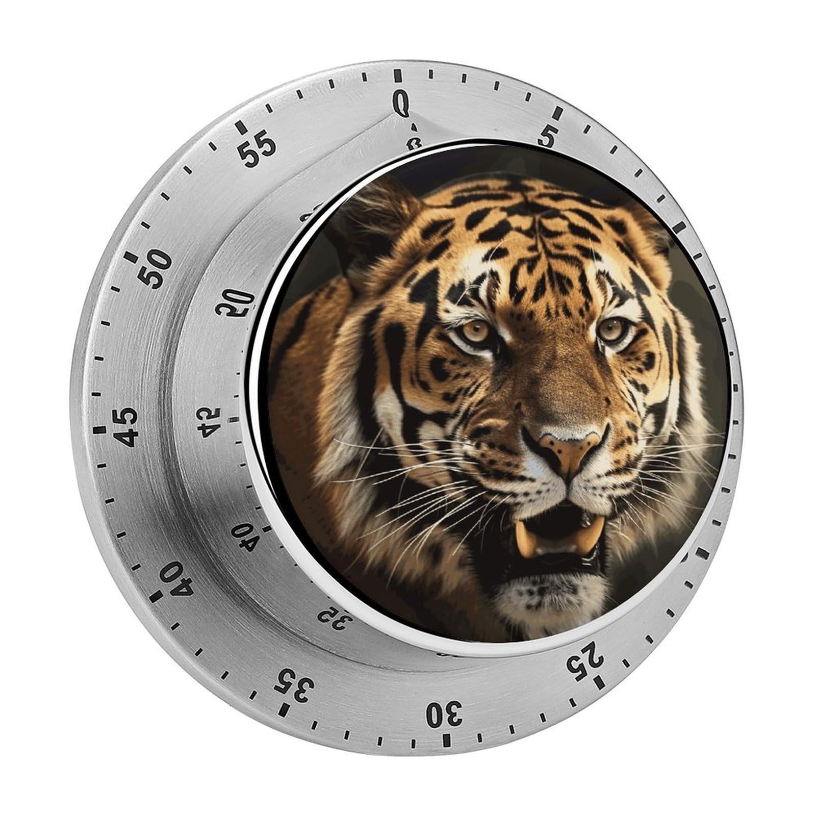 Tiger Visual Timer with Loud Alarm 60-Minute Kitchen Timers Exquisite Stainless Steel Body - Mechanical Desk Timer Countdown Clock for Cooking Chef Clock