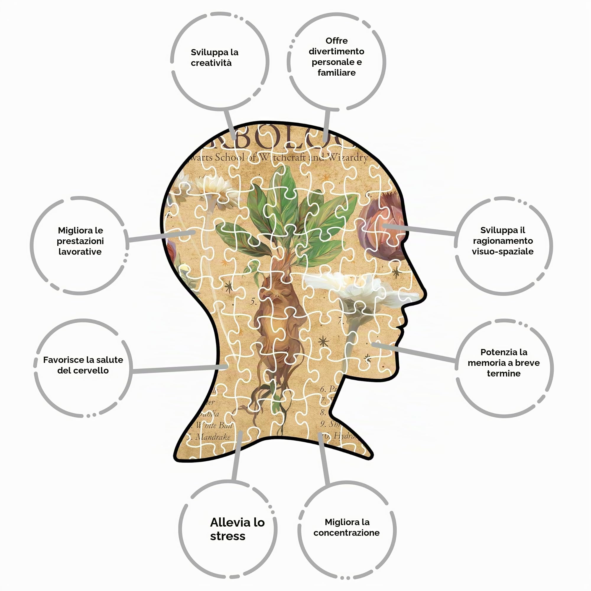 AQUARIUS Harry Potter Herbology - Puzzle da 1000 pezzi (puzzle da 1000 pezzi), senza abbagliamento, vestibilità di precisione, prodotto con licenza ufficiale Harry Potter e oggetti da collezione, 50,8