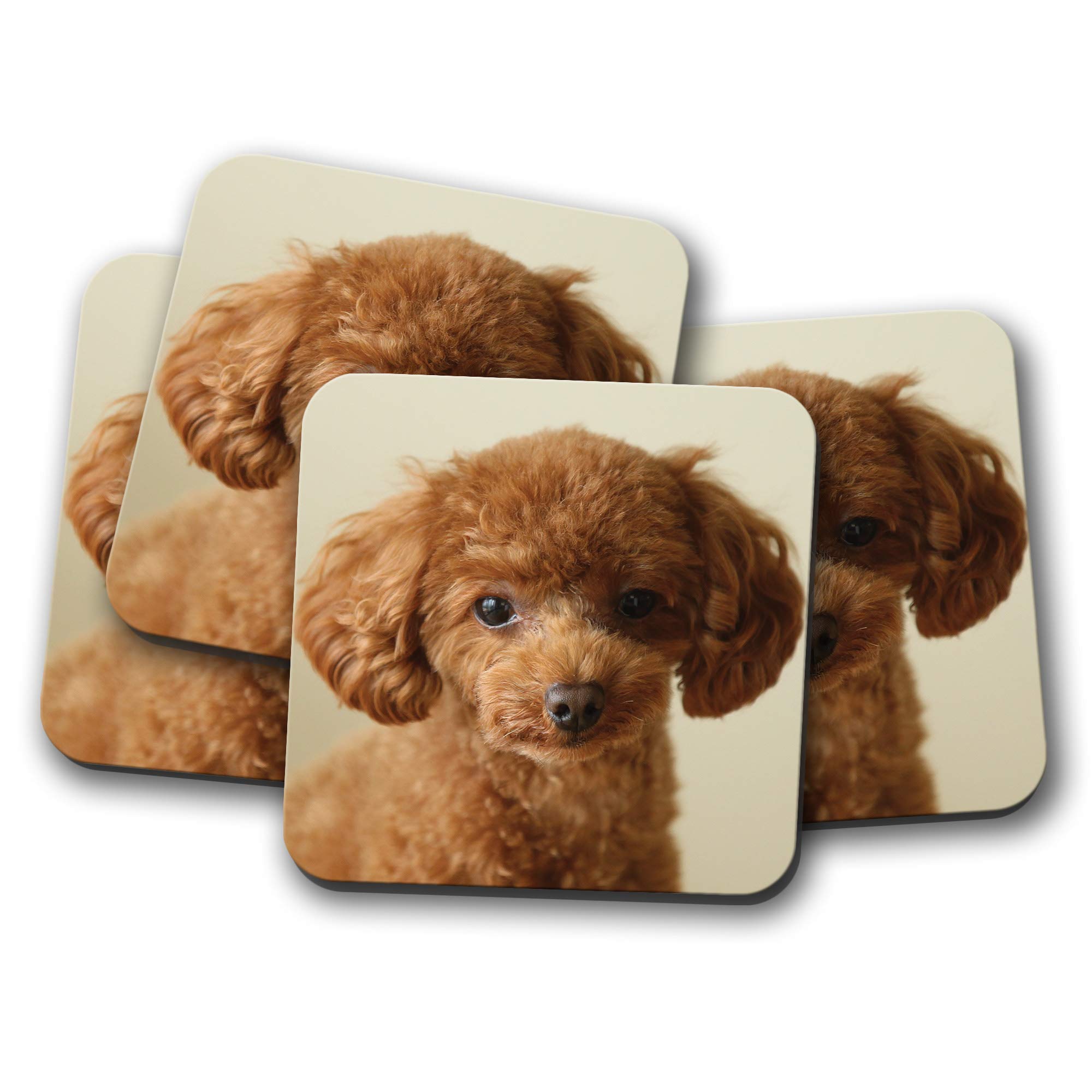 Destination Vinyl Ltd Multicolor 4 Set - Cute Poodle Puppy Coaster - Ginger Puppies Dog Adorable Pet #15368