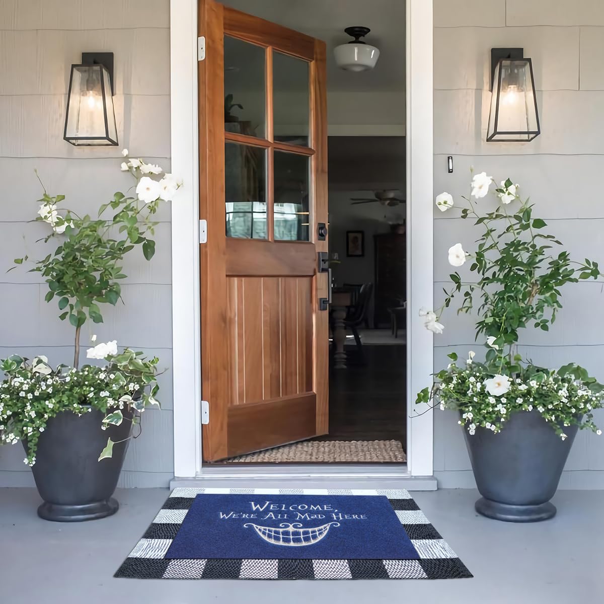 AOAOPQ Funny Door Mats for Outside Entry Welcome Mats Outdoor Entrance Doormat for Front Door Home Lobby Farmhouse Office Patio Garage Bathroom Blue - Image 4