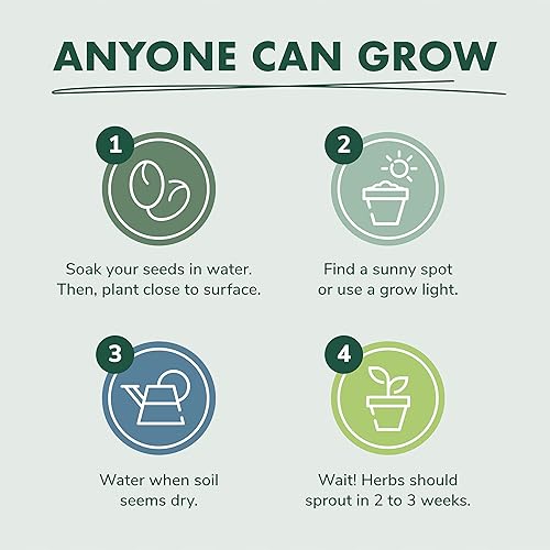 Miniatura 7 de Kit de inicio de semillas de jardín de hierbas para interiores kits de cultivo de té de hierbas cultivo de hierbas medicinales en interiores lavanda